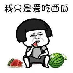 娱乐精神吃瓜,吃瓜群众狂欢盛宴