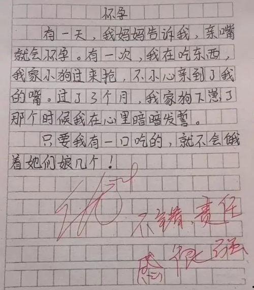 娱乐吃瓜酱小学生作文